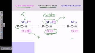 Amino acid structures part 2 [upl. by Erreit]