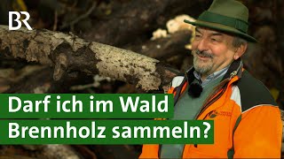 Holz klauben im Wald  Was ist erlaubt  Brennholz  Unser Land  BR [upl. by Aitital843]