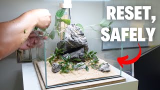 How To Safely Reset A Fish Tank [upl. by Karame]