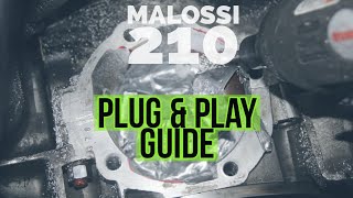 THE ultimate VESPA MALOSSI sport 210 pnp TUNING GUIDE  FMPSolid PASSion [upl. by Alliber]