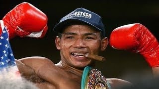 Ricardo Mayorga  Highlights  Knockouts [upl. by Elleret910]