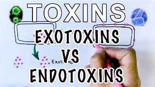 Overview of Toxins  Exotoxins Vs Endotoxins [upl. by Nosliw]