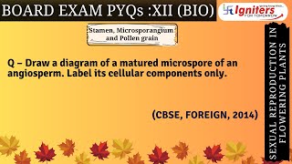 Draw a diagram of a matured microspore of an angiosperm Label its cellular components only [upl. by Wolfson]