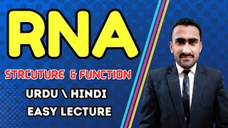 Introduction to RNA  RNA Structure Functions  A Type of Nucleic Acid  Shahzad Rasool Lecture [upl. by Nerol]