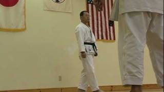 Traditional Shotokan Karate Heian Sandan [upl. by Trepur]