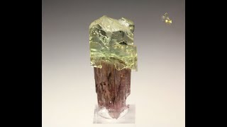 21311  Scepter TOURMALINE var ELBAITE Barra de Salinas district Brazil [upl. by Berny]