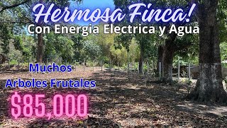 🔴 VENDIDA 92 HERMOSA FINCA con MUCHOS ARBOLES FRUTALES propiedadesenventa terrenos casasenventa [upl. by Parthen610]