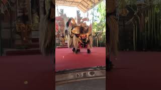 Balinese Barong Dance [upl. by Enelaj]