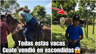 Dios mío Sara se desmayó en plena montada de caballotodas estas vacas fue las que vendió cuate😡 [upl. by Onilatac304]