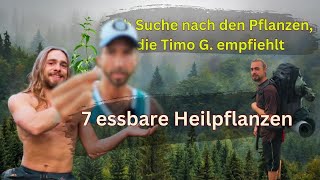 7 Heilpflanzen direkt vor deiner Tür Wirkung und Anwendung  Timo G inspiriert [upl. by Ricker]