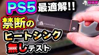 【PS5 M2実験】ヒートシンク付き VS 後付け VS 無し…どれが冷える？Seagate FireCuda 530超猫拳 [upl. by Cornia]