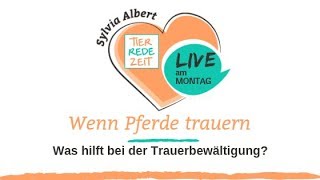 Wenn Pferde trauern  TierRedeZeit Live am Montag [upl. by Corby251]