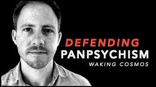 Defending Panpsychism  Philip Goff PhD on Waking Cosmos [upl. by Izzy395]