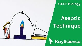 Culturing Microorganisms Required Practical Aseptic Technique  GCSE Biology  kaysciencecom [upl. by Esinad]