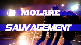 TEASER MOLARE quotSAUVAGEMENTquot Officiel HD [upl. by Mide71]