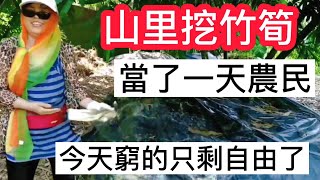 台灣竹筍農太窮了 三座山頭 要挖竹筍5個月 【現挖竹筍二吃】做煎餅 燉排骨 超級棒 [upl. by Milty954]