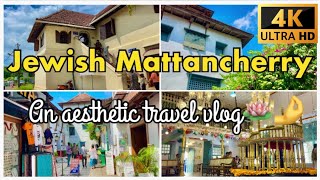 Jewish Mattancherry  Aesthetic Travel Vlog🪷🤌🤍✨ mattancherry jewtown fortkochi roamingbees [upl. by Palgrave223]