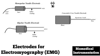 Electrodes for Electromyogram EMG  Biomedical Instrumentation and Measurement [upl. by Sitelc]