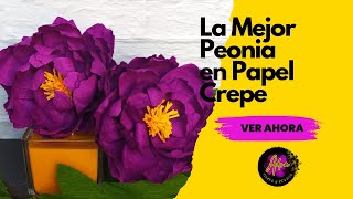 ​​🌷​ Como hacer una Peonia en papel crepe ​ Tutorial para principiantes🌷​ [upl. by Eissirhc]