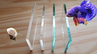 Acrylic Vs Low Iron Glass Vs Regular Glass Aquarium [upl. by Eldnik]