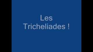 Tricheliades best of version 1 [upl. by Darlene563]