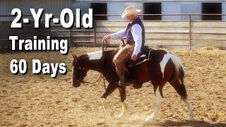 2YearOld With 60 Days Of Training  Foundation Horse Training [upl. by Eseilenna]