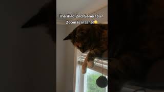 The iPad 2nd Generation zoom is incredible 💀trending cats [upl. by Enilav]