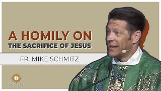 Father Mike Schmitz  A Homily on  Steubenville Youth Conference San Diego [upl. by Tawney]