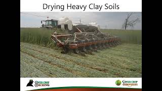 Podcast Tips for Using Cover Crops in Heavy Clay Soils [upl. by Beatty]