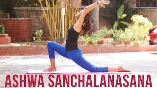 How to do Ashwa Sanchalanasana  The Equestrian Pose [upl. by Lumbard]