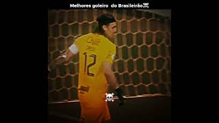 Melhores goleiros do brasileirão [upl. by Falzetta39]