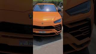 Lamborghini Dubai car lover Dubai amazing video [upl. by Ellennod]