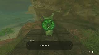 Korok Seed 724 Komo Shoreline  The Legend of Zelda Tears of the Kingdom NS [upl. by Akima320]