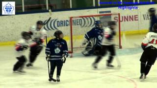 Highlights U12 Sunne IK vs BIK Karlskoga 20140201 [upl. by Lenore]