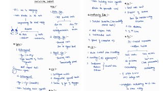 TESTICULAR TORSION NOTES ONE PAGE NOTES  TESTIS  SURGERY  4TH PROFF  MBBS [upl. by Crow401]