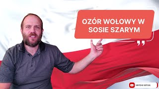 Słodko kwaśny ozór wołowy w sosie szarym odcinek9 Tradycyjna polska kuchnia recipe polish food [upl. by Dirgis]