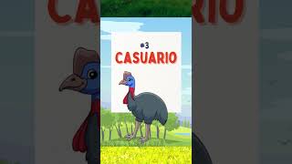 Las 8 Aves que NO vuelan🐧shorts short animalshorts shortvideo shortsfeed viral [upl. by Geoffrey]