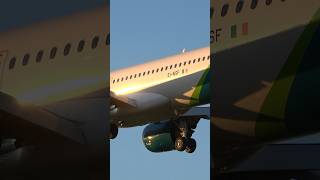 ☘️ Aer Lingus Airbus A320neo Landing  London Heathrow Airport shorts [upl. by Ecar]