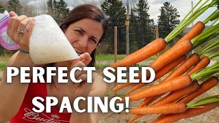 Sowing Carrots in Cornstarch for great germination no thinning and prevent seed waste [upl. by Idrahs]