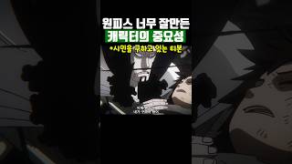 원피스 너무 잘 만든 캐릭터의 중요성 [upl. by Wichern]