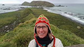 Macquarie Island Cruise with Sherry Ott  Heritage Expeditions [upl. by Nodnil635]