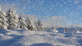 Winter wonderland with relaxing piano music Smart TV background video [upl. by Nerissa569]