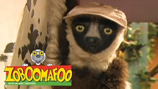 Zoboomafoo with the Kratt Brothers SPOTS amp STRIPES  Full Episodes Compilation [upl. by Idnerb]