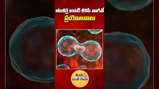 పరగడుపున జీలకర్ర వాటర్ కలిపి తాగితే ప్రయోజనాలు  Benefits Of Drinking With Cumin Water shorts [upl. by Ahsiliw]