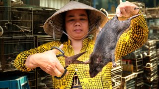 Surviving on RATS This Mekong Village Makes Millions from Rats [upl. by Kaya]