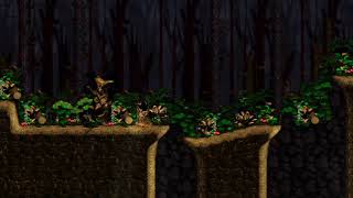 Donkey Kong Country 2  Forest Interlude 1 Hour [upl. by Heins]