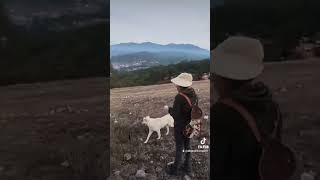 Chalcatongo de Hidalgo visto desde el cerro del Fortín [upl. by Aihceyt]