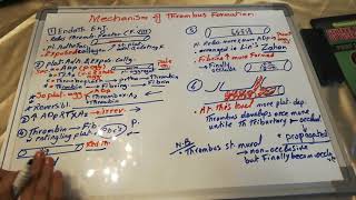 Thromus III Mechanism of thrombus thrombus formation [upl. by Nesilla]