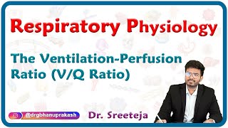 The ventilationperfusion ratio VQ ratio  Respiratory Physiology USMLE Step 1 [upl. by Arval]