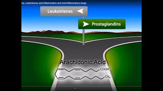 Eicosanoids Prostaglandins Leukotrienes and Inflammation and Antiinflammatory drugs [upl. by Nyllek619]